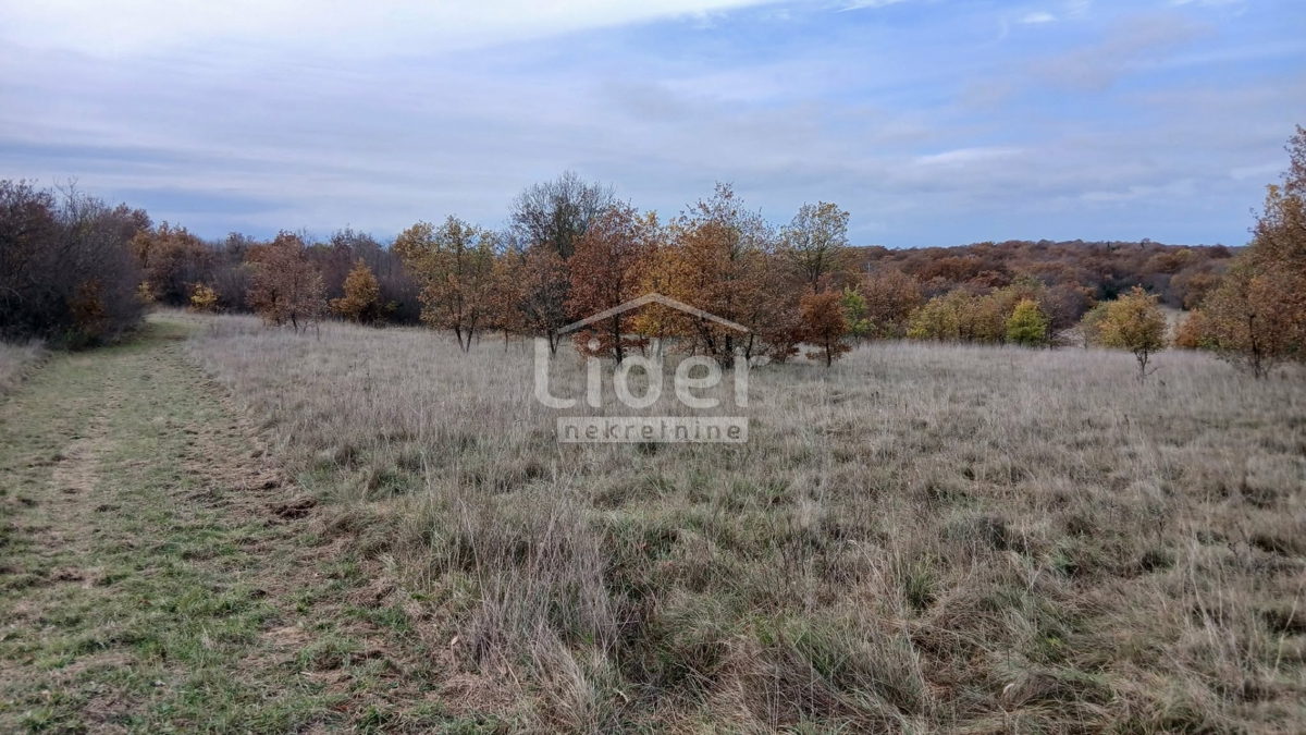 Zemljišče Mrgani, 47532m2