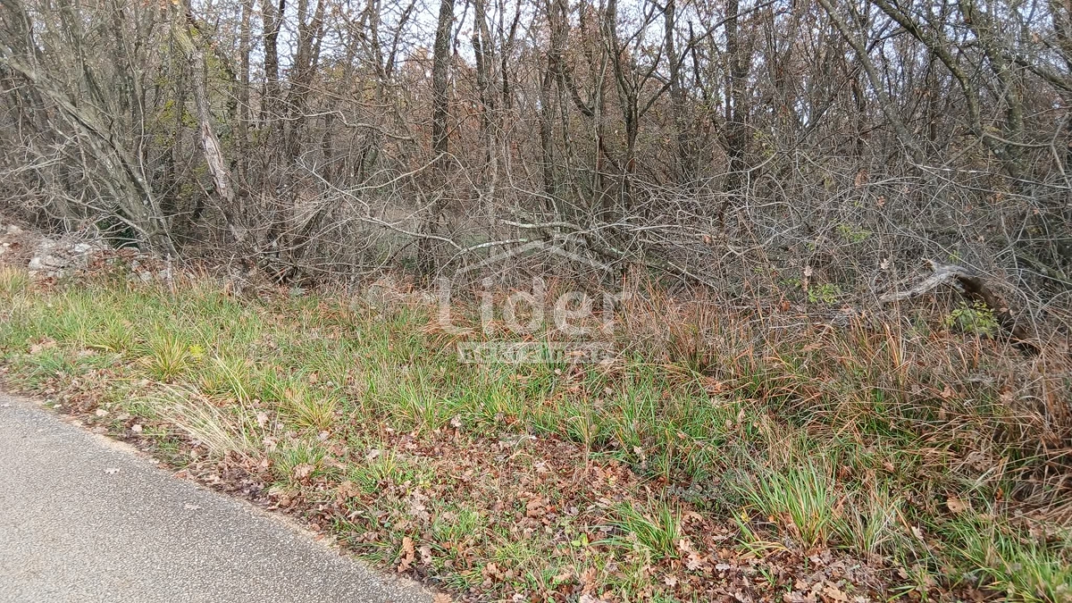 Zemljišče Mrgani, 47532m2