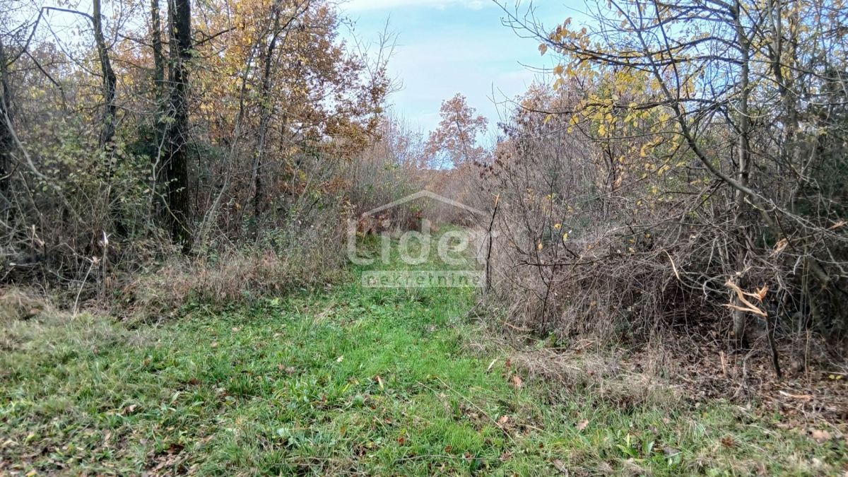 Zemljišče Mrgani, 47532m2