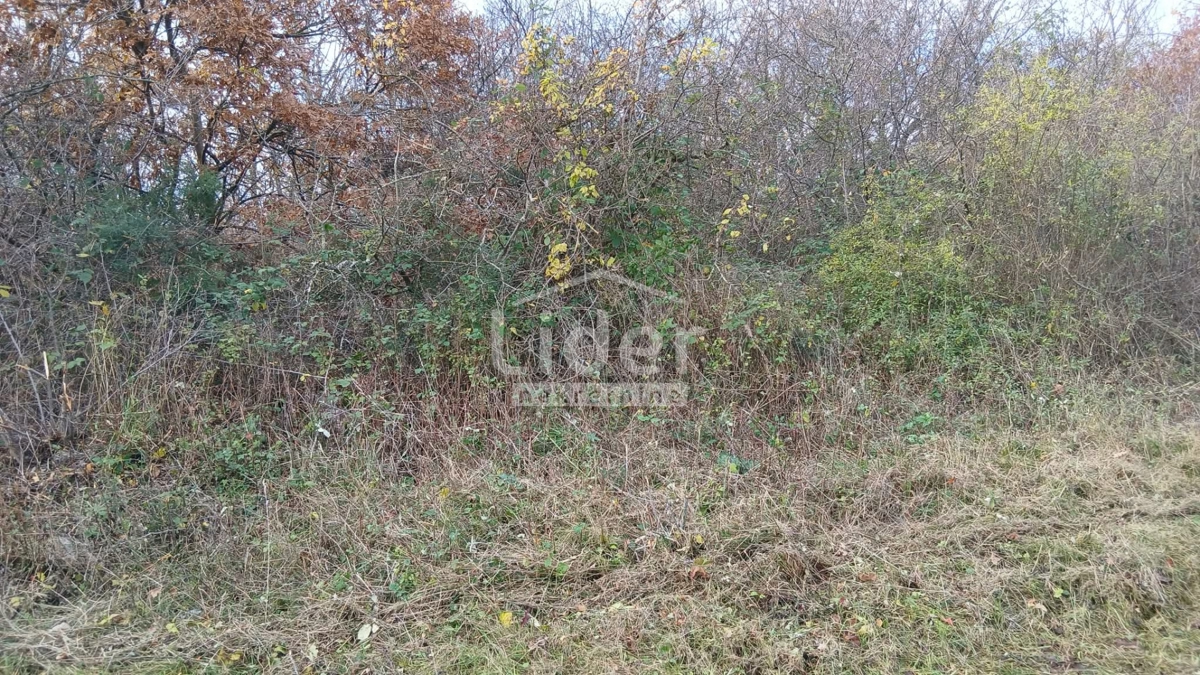 Zemljišče Mrgani, 47532m2