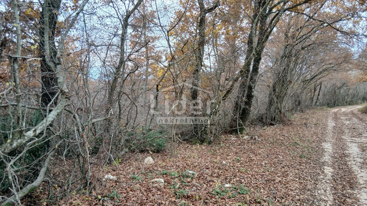 Zemljišče Mrgani, 47532m2