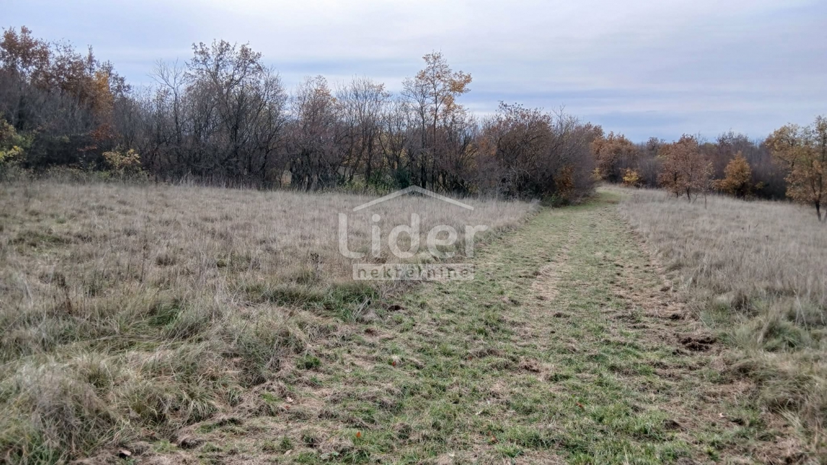 Zemljišče Mrgani, 47532m2