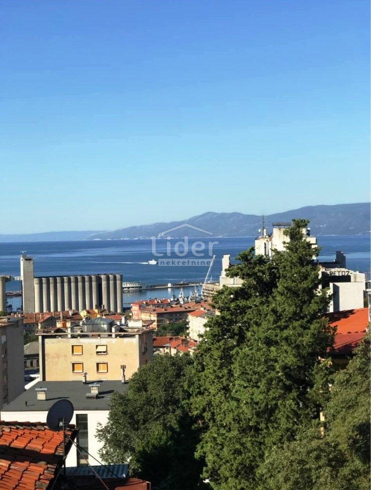 Stanovanje Belveder, 50m2