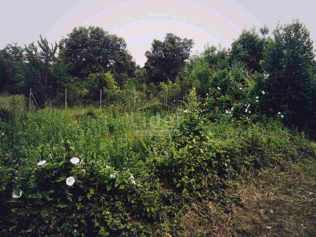 Zemljišče Vinkuran, 713m2