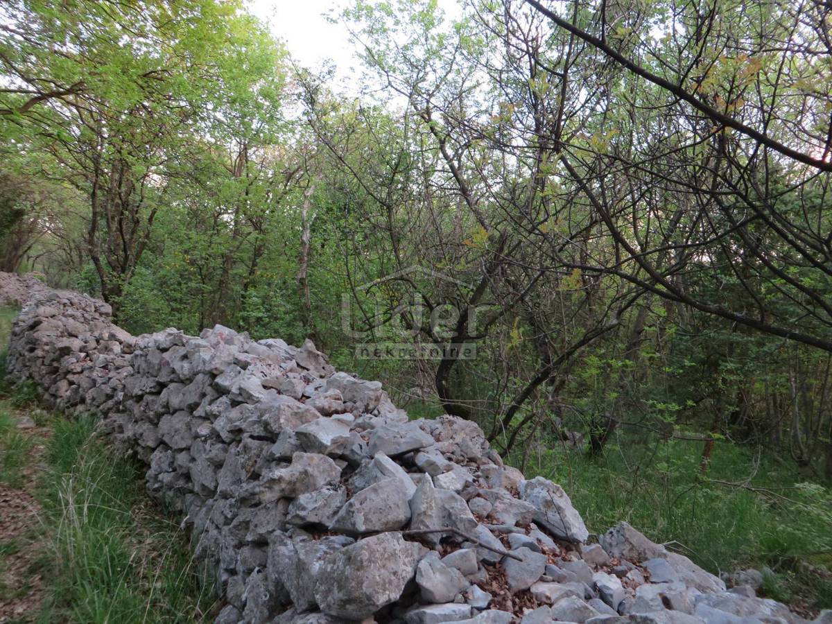 Zemljišče Doričići, 3215m2