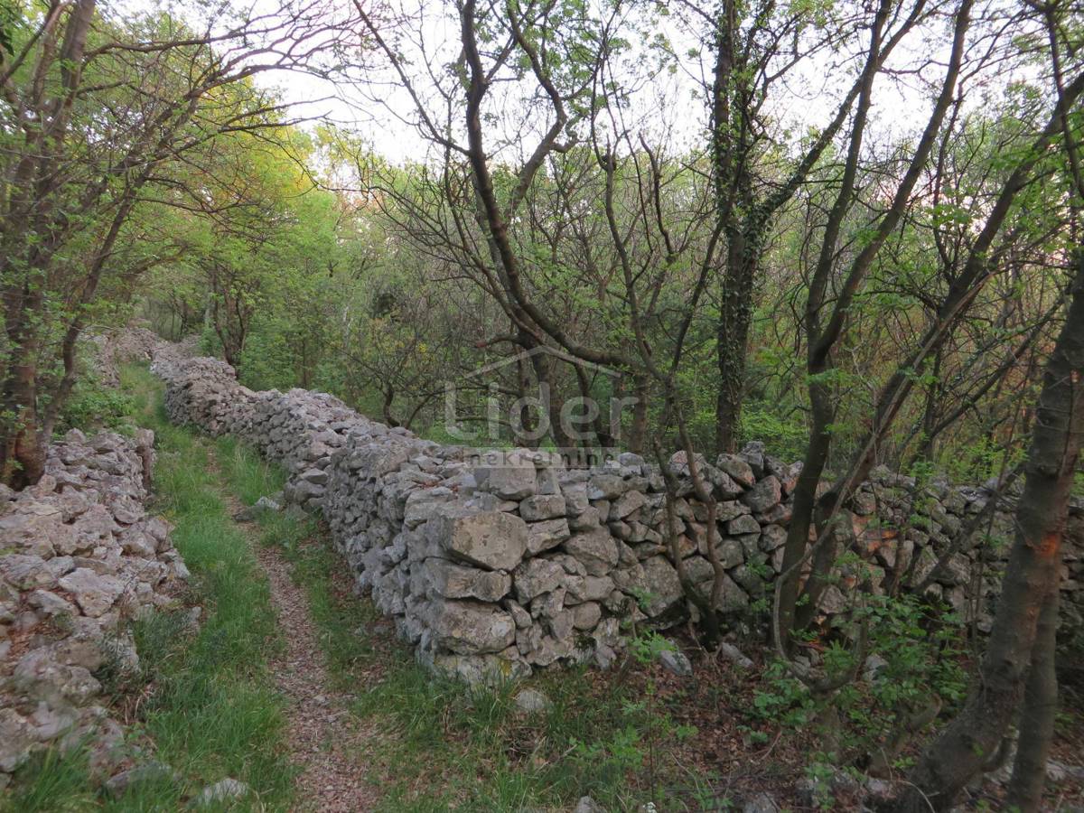 Zemljišče Doričići, 3215m2