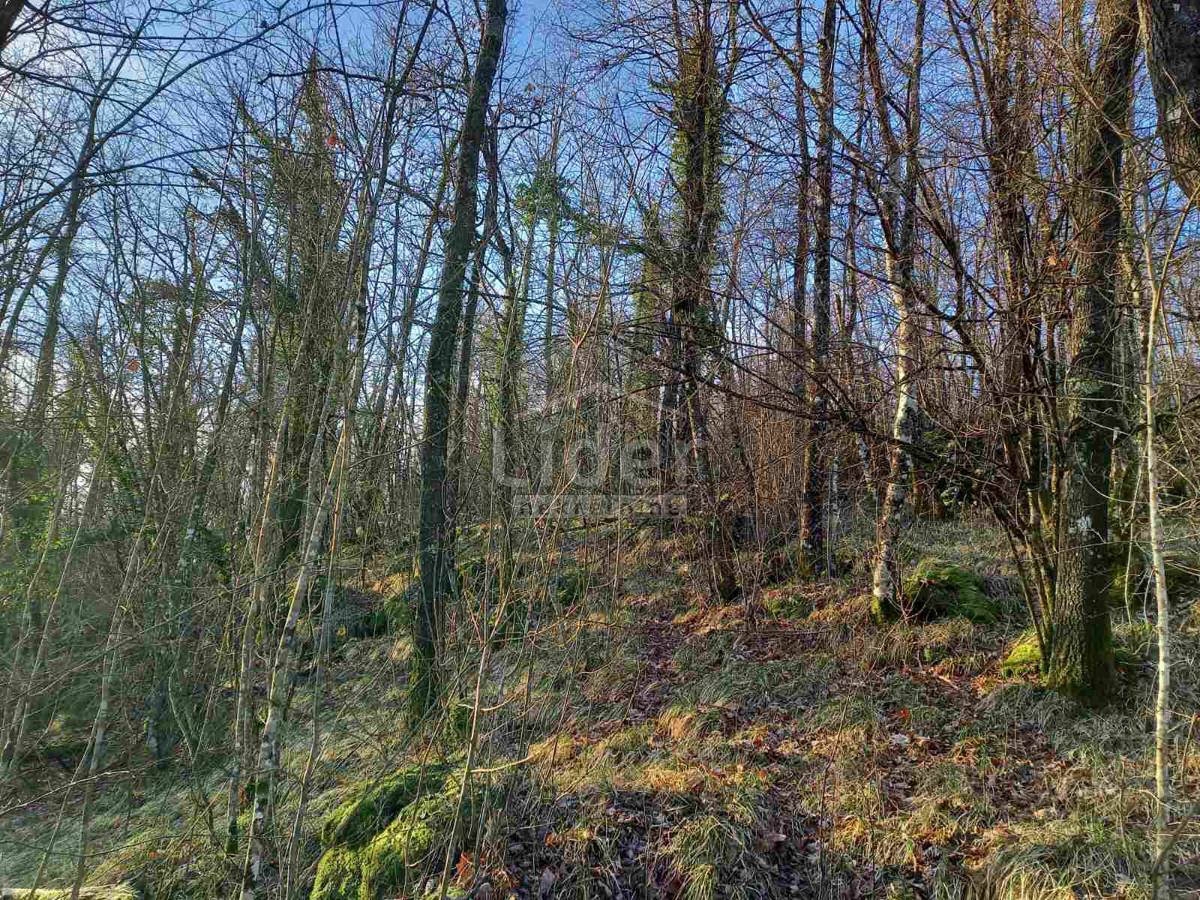 Zemljišče Zvoneća, 5378m2