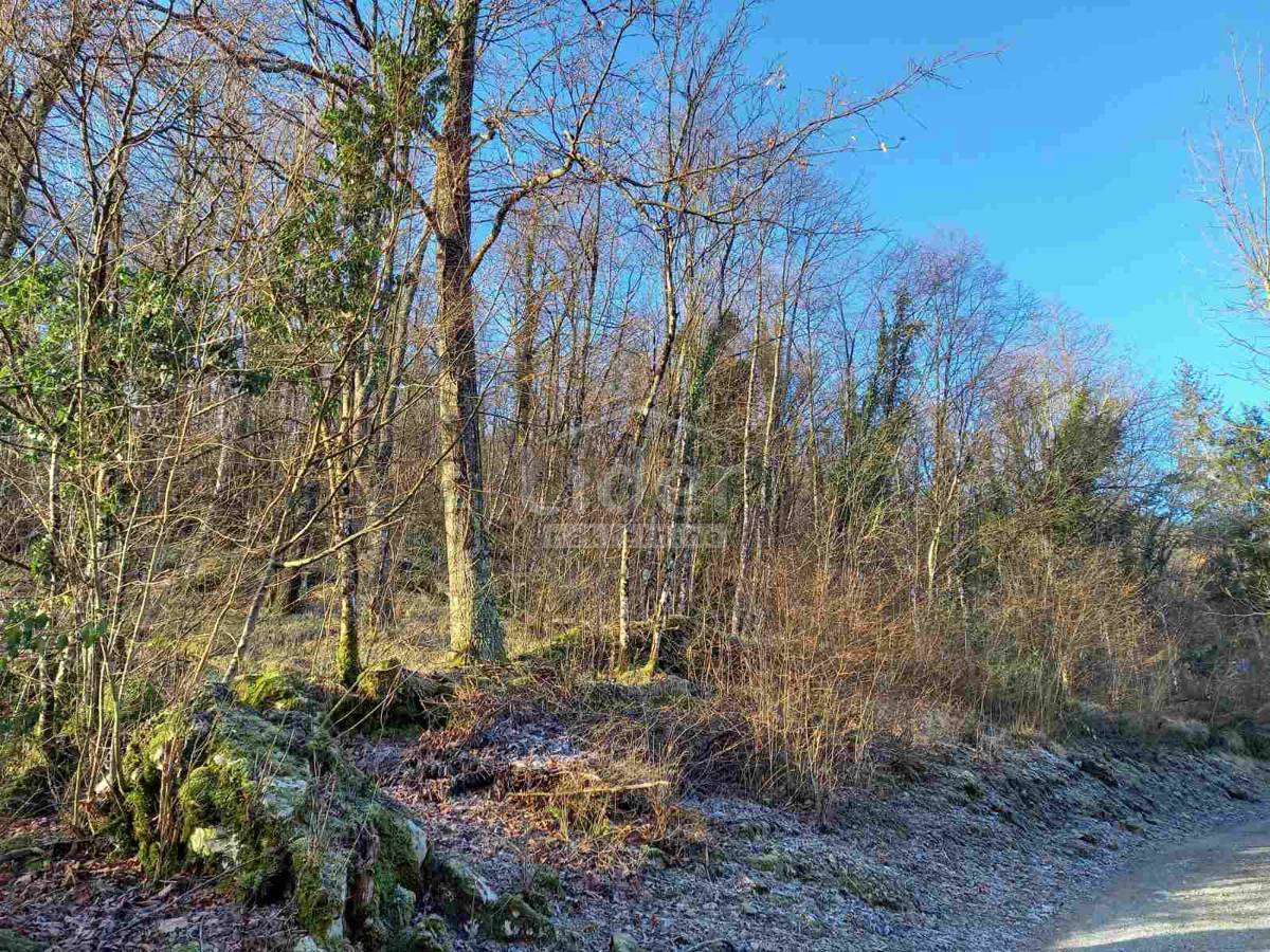 Zemljišče Zvoneća, 5378m2