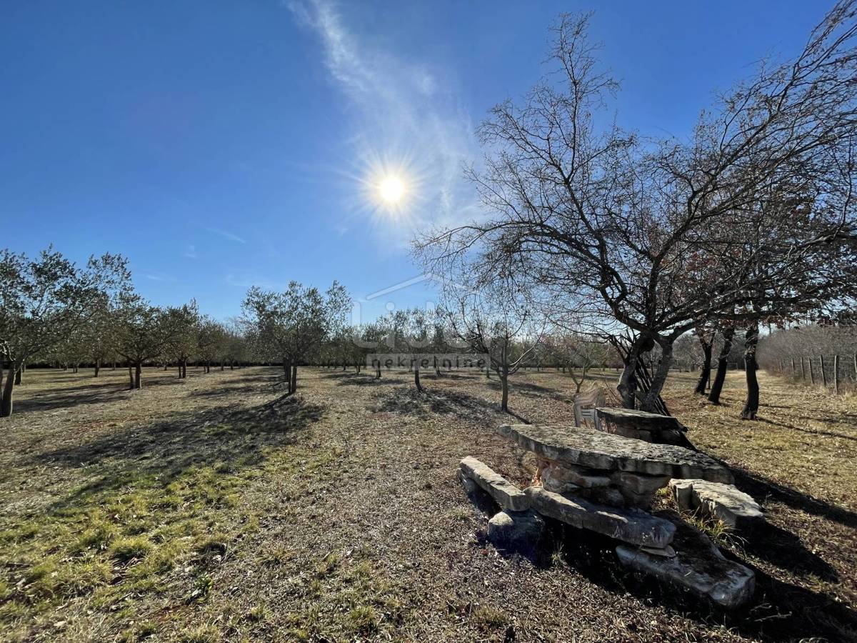 Zemljišče Labinci, 8841m2
