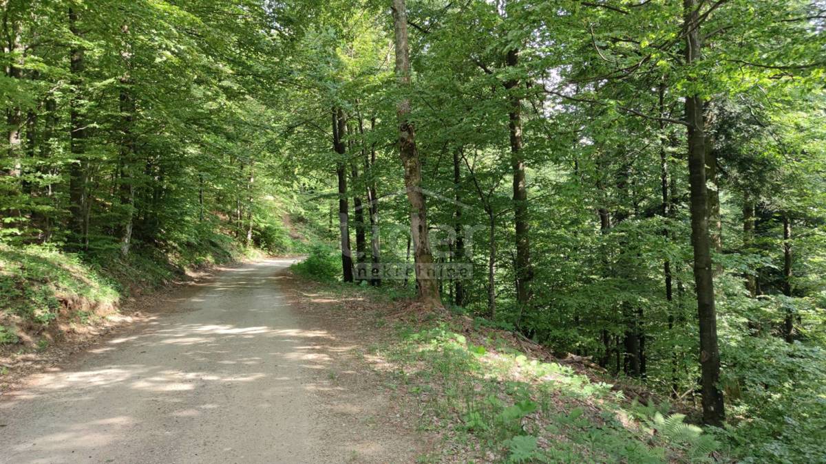 Zemljišče Fužine, 22378m2