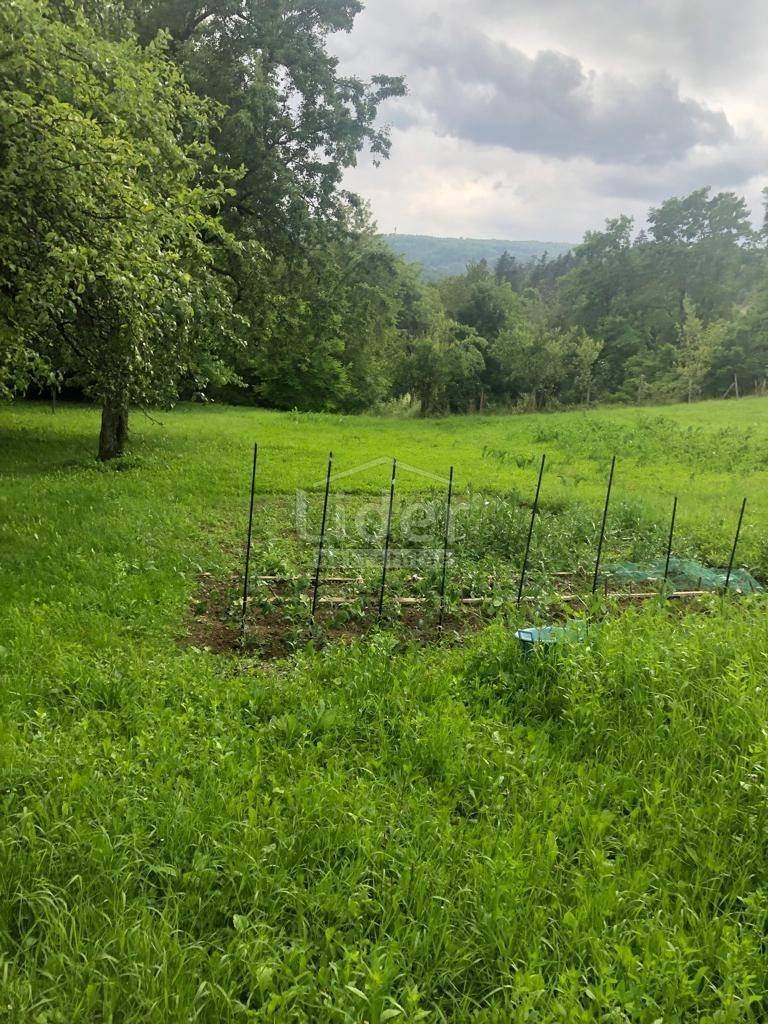 Hiša Lukovdol, 150m2