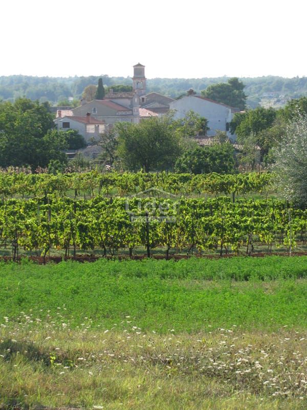 Zemljišče Barban, 1330m2