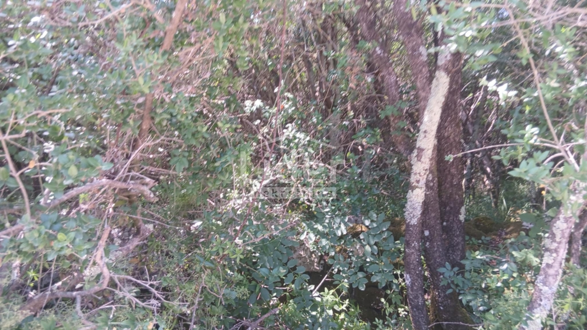 Zemljišče Rovinj, 30376m2