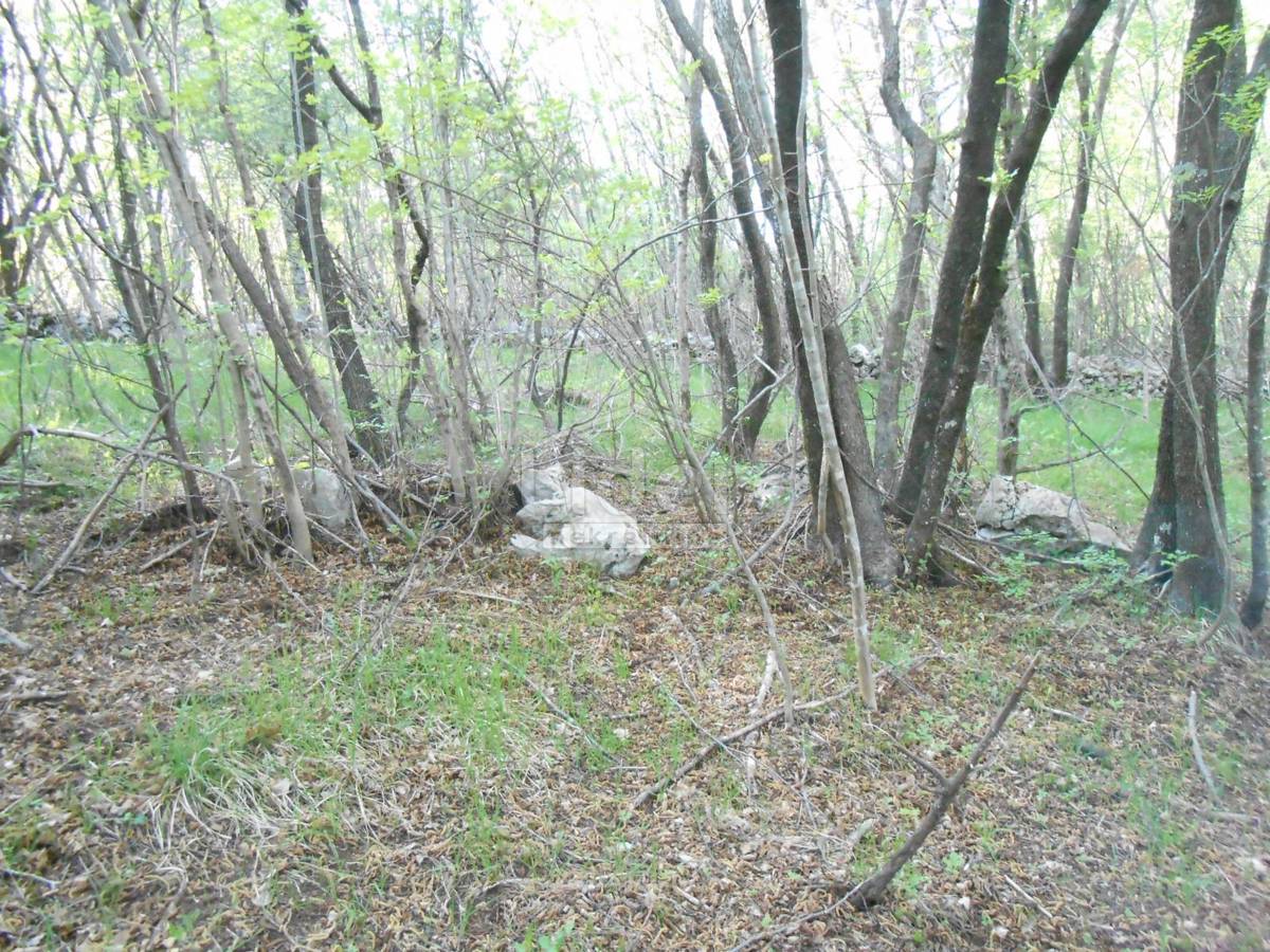 Zemljišče Drenova, 1400m2