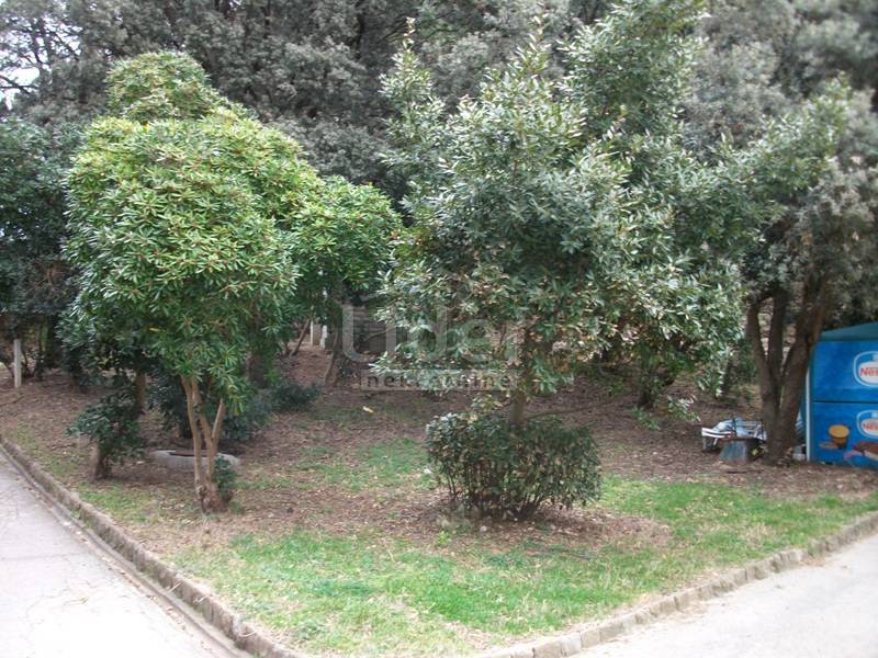 Poslovni prostor Palit, 135m2