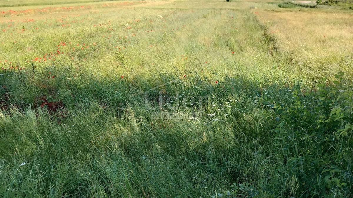 Zemljišče Rovinjsko Selo, 5234m2