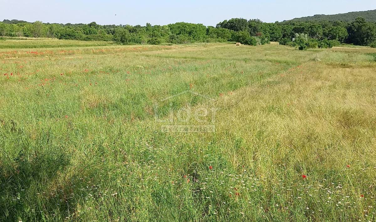 Zemljišče Rovinjsko Selo, 5234m2