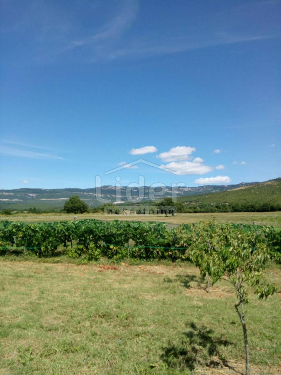 Hiša Boljunsko Polje, 100m2