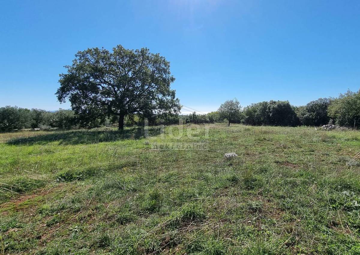 Zemljišče Peruški, 6000m2