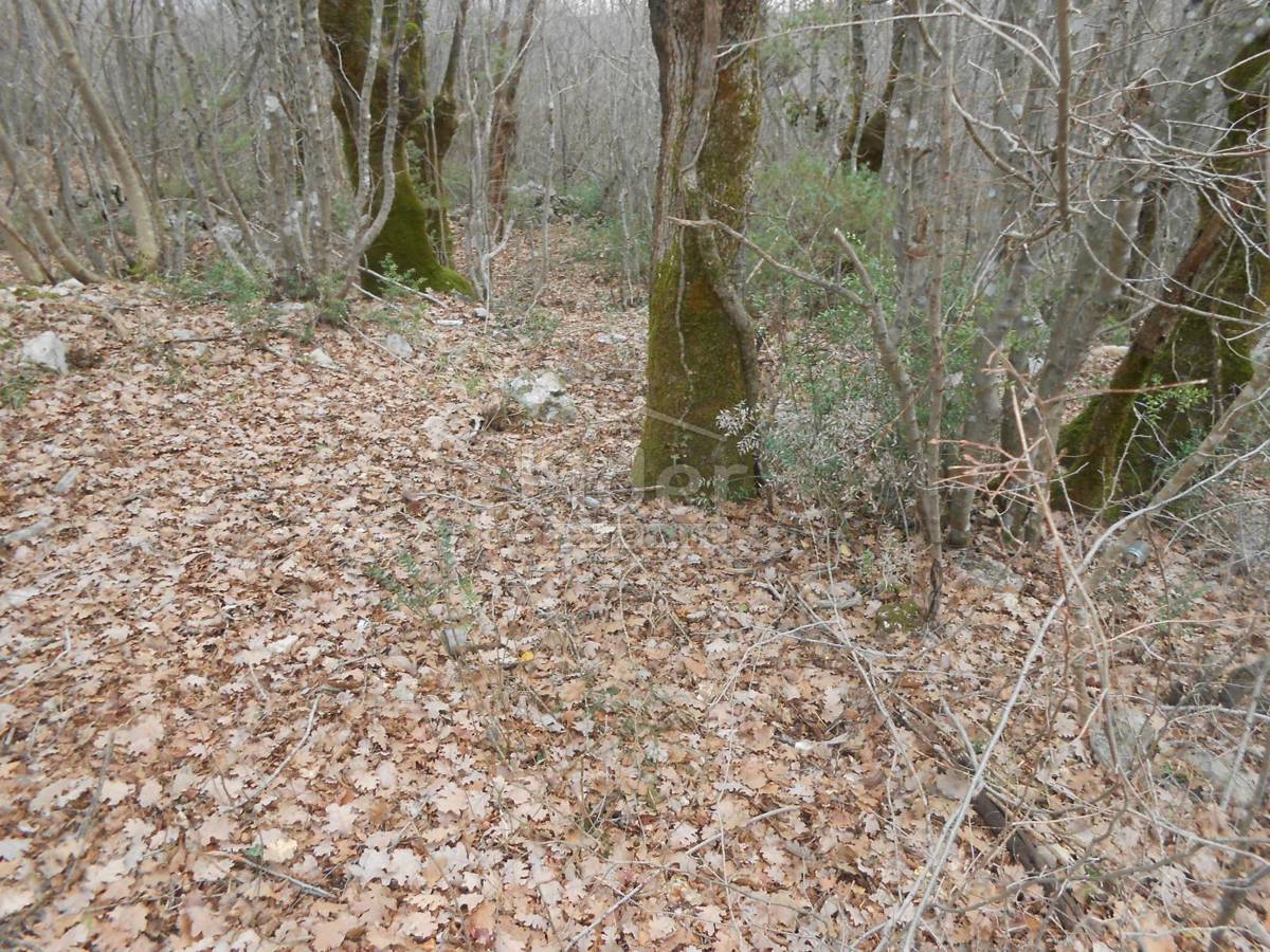 Zemljišče Sužan, 2841m2