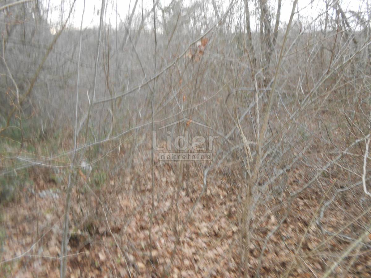 Zemljišče Sužan, 2841m2