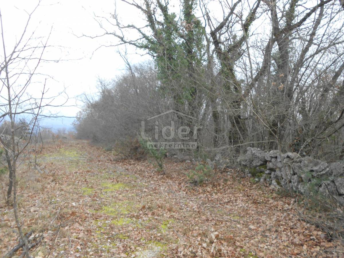 Zemljišče Sužan, 2841m2