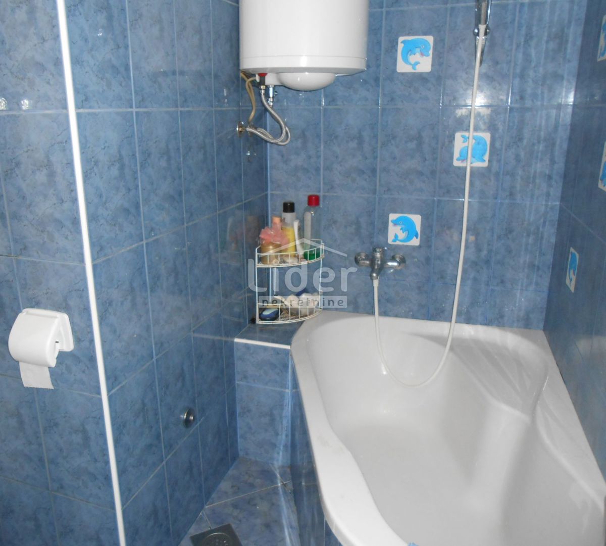 Hiša Zvoneća, 236m2