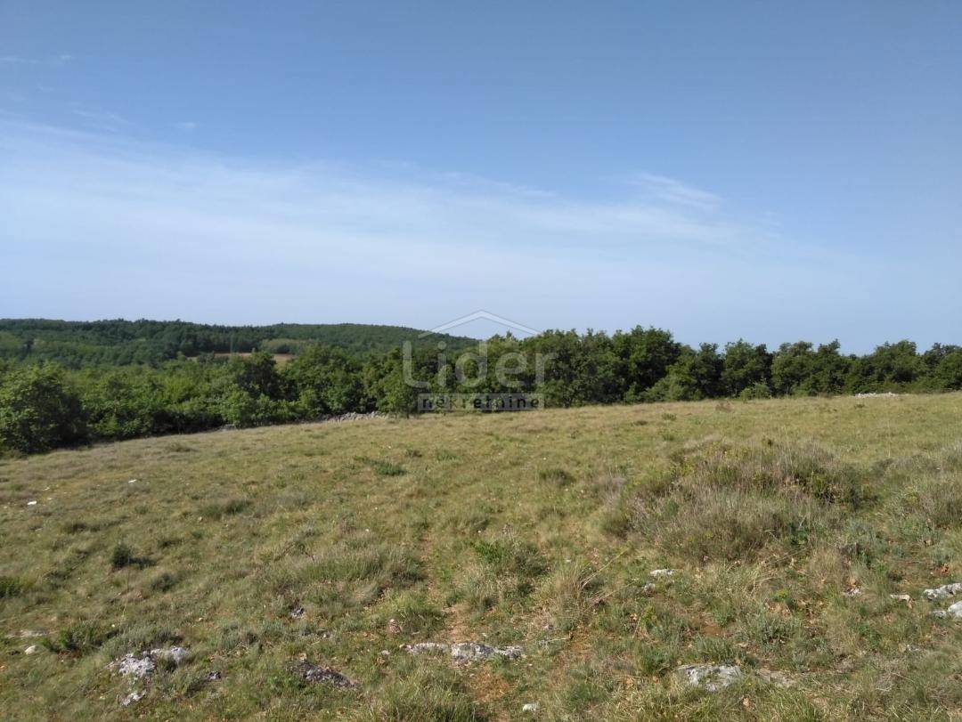 Zemljišče Zoričići, 19190m2