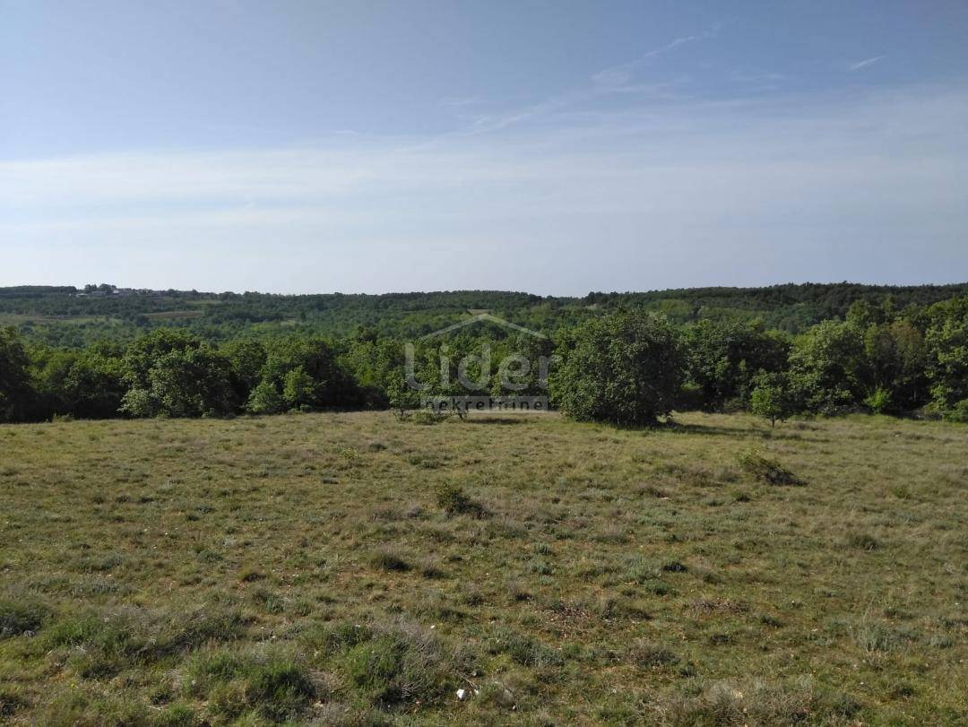 Zemljišče Zoričići, 19190m2