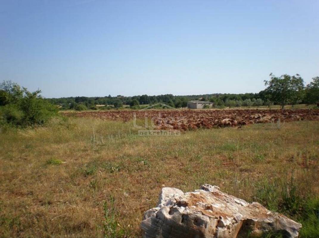 Zemljišče Pršurići, 8270m2