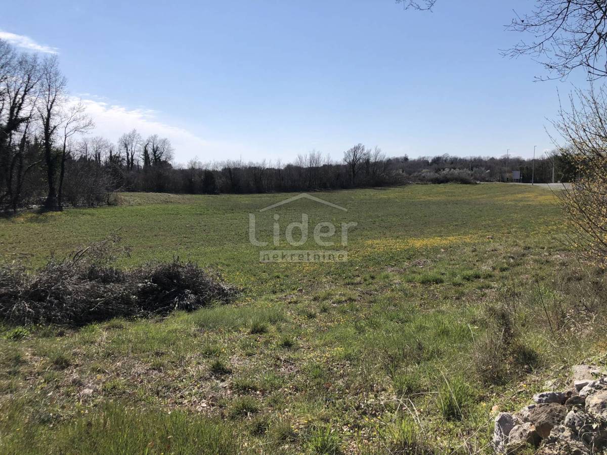 Zemljišče Šegotići, 4855m2