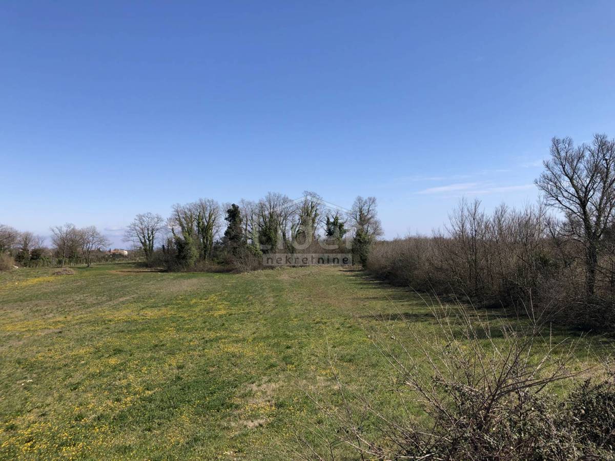 Zemljišče Šegotići, 4855m2