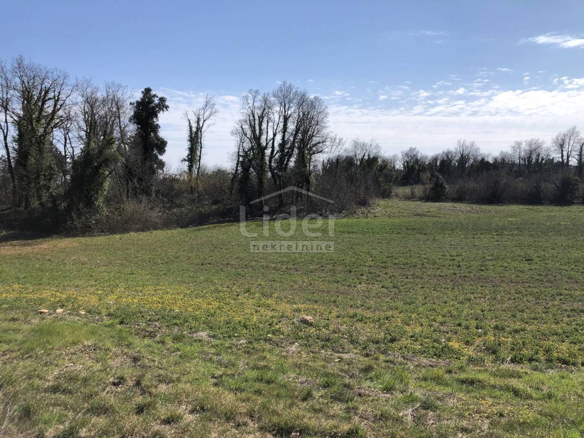 Zemljišče Šegotići, 4855m2