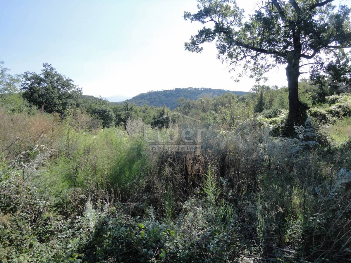 Zemljišče Drenova, 1658m2