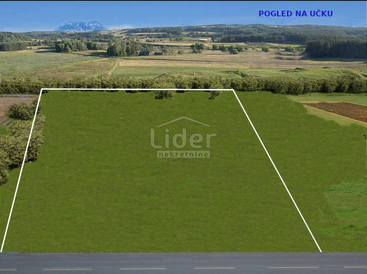 Zemljišče Bibići, 10655m2