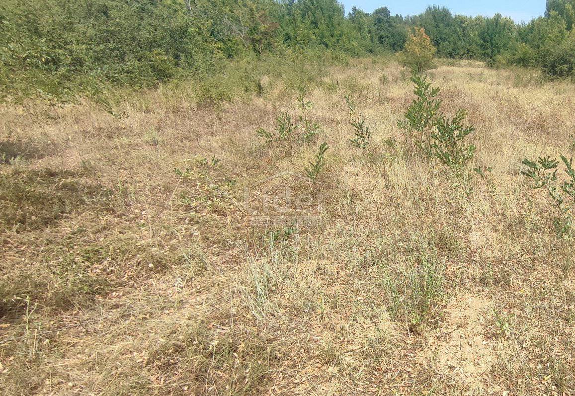 Zemljišče Manjadvorci, 1050m2