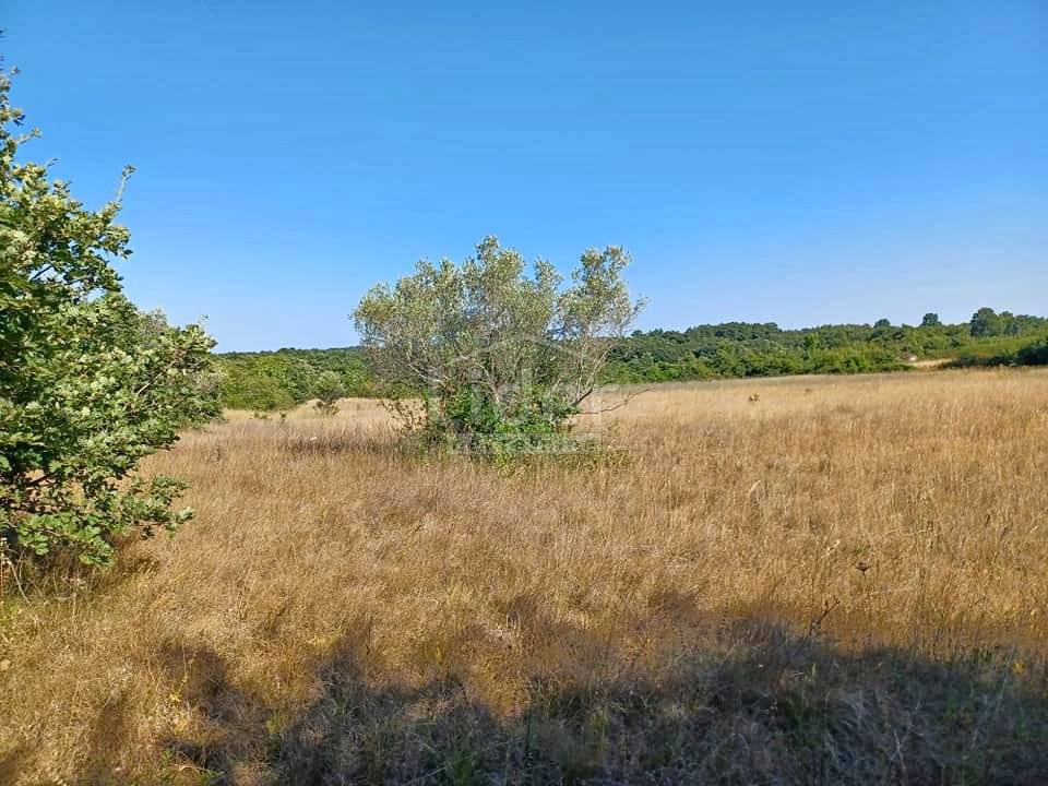 Zemljišče Cukrići, 12900m2