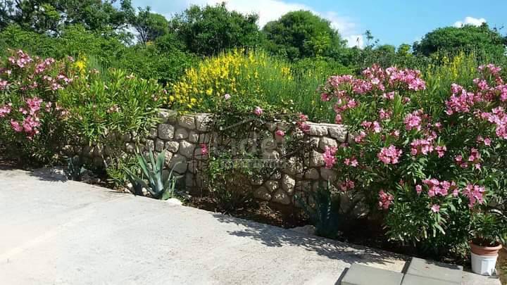 Poslovni prostor Novalja, 1000m2