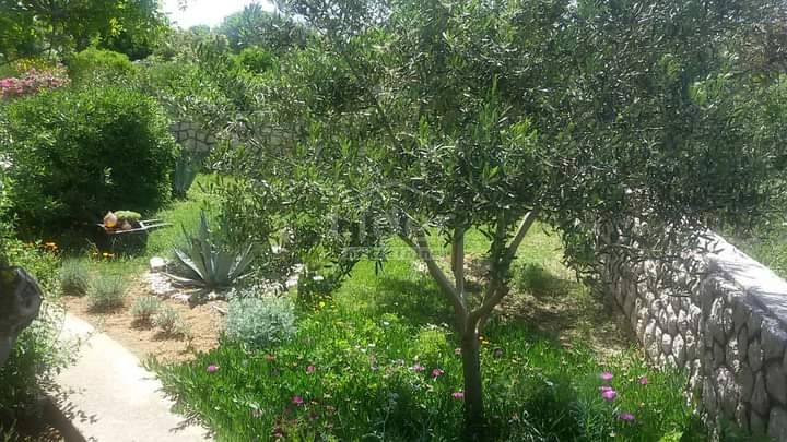 Poslovni prostor Novalja, 1000m2