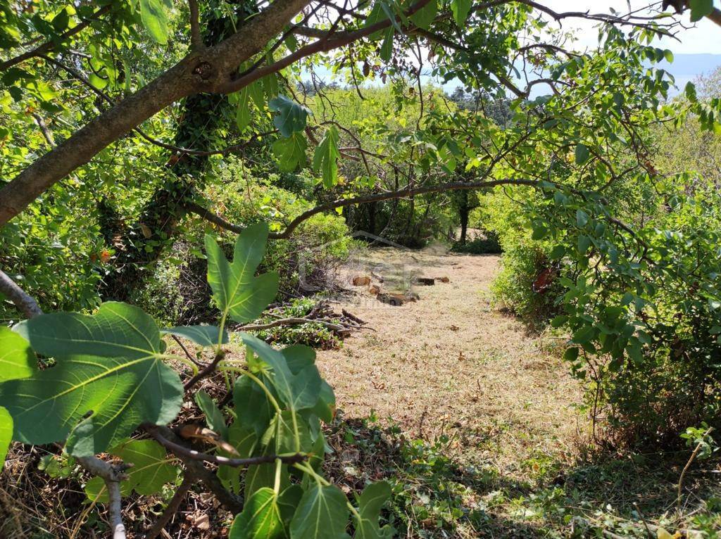 Zemljišče Hreljin, 1665m2