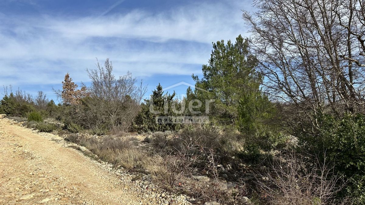 Zemljišče Pridraga, 1465m2