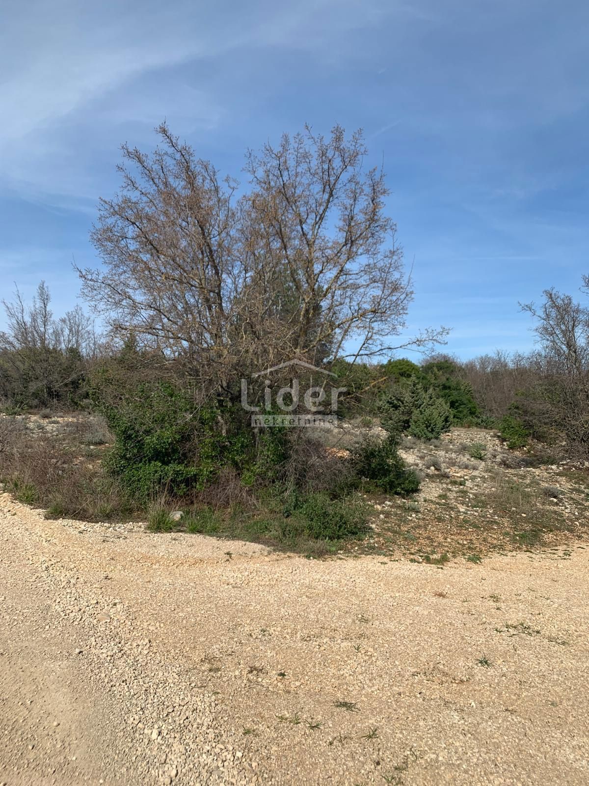 Zemljišče Pridraga, 1465m2