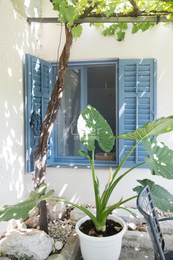 Hiša Drivenik, 130m2