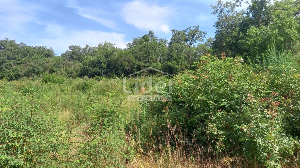 Zemljišče Rovinj, 12921m2