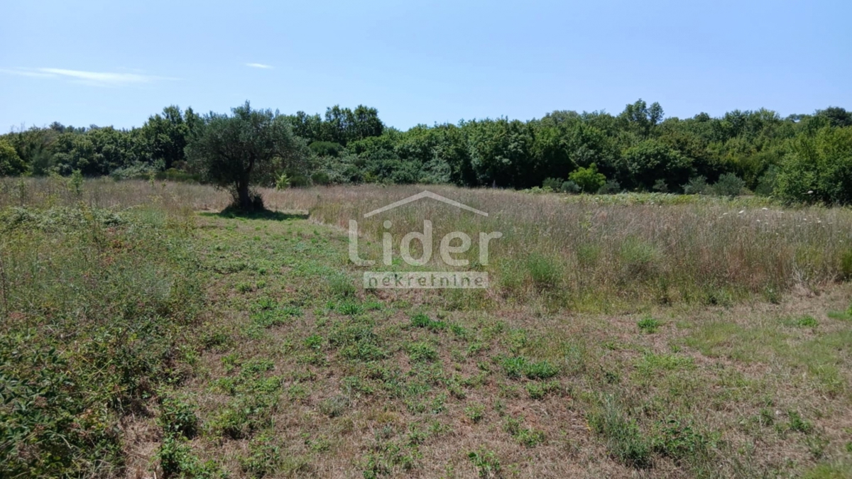 Zemljišče Rovinj, 12786m2