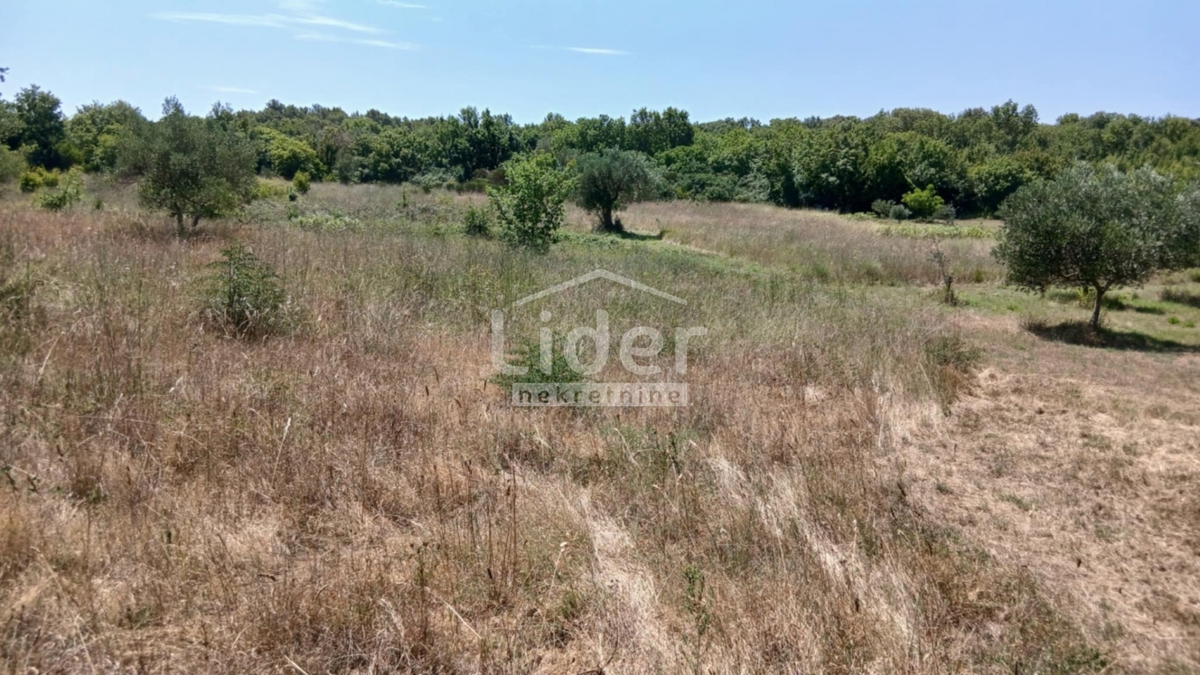 Zemljišče Rovinj, 12786m2