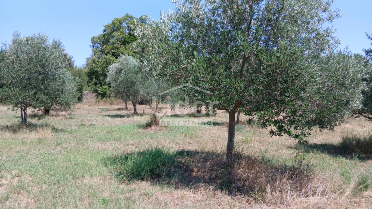 Zemljišče Rovinj, 12786m2