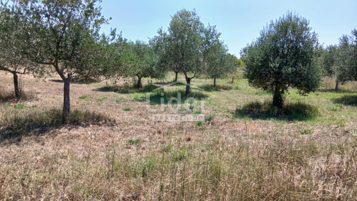 Zemljišče Rovinj, 12786m2