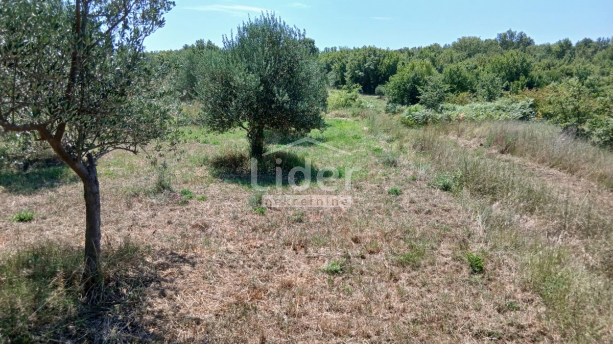 Zemljišče Rovinj, 12786m2