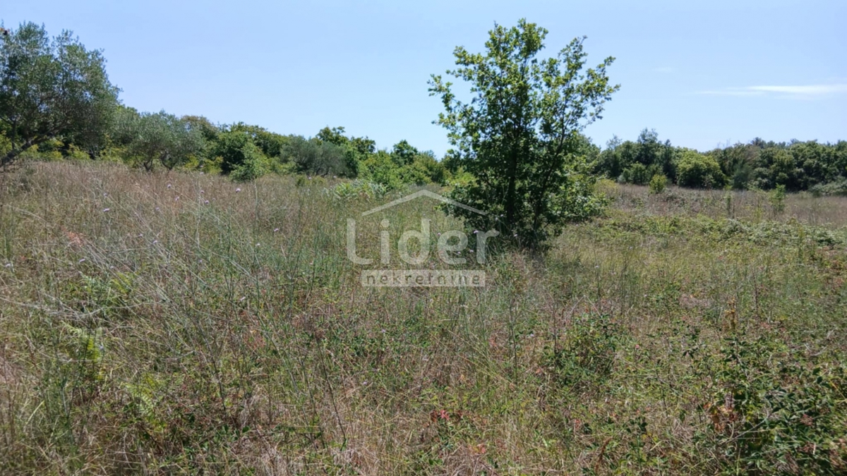 Zemljišče Rovinj, 12786m2